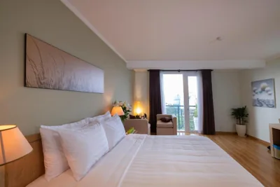 带城市景观的豪华公园景双人房 — Vien Dong Hotel - Near Bui Vien Walking Street